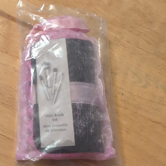 Mary Kay Other - Mary Kay Mini Brush Set with Pink Trim